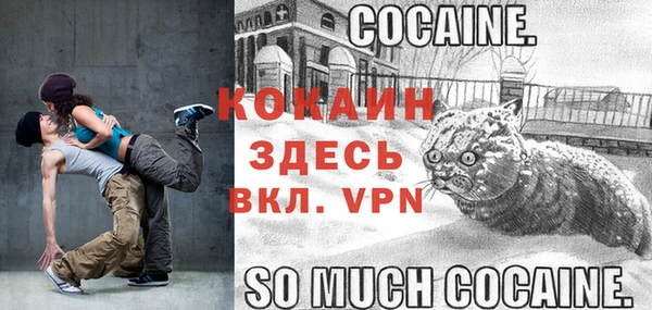 2c-b Богданович
