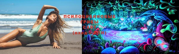 apvp Саяногорск