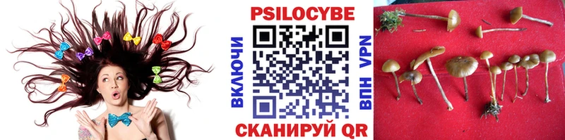 Псилоцибиновые грибы мухоморы Красновишерск